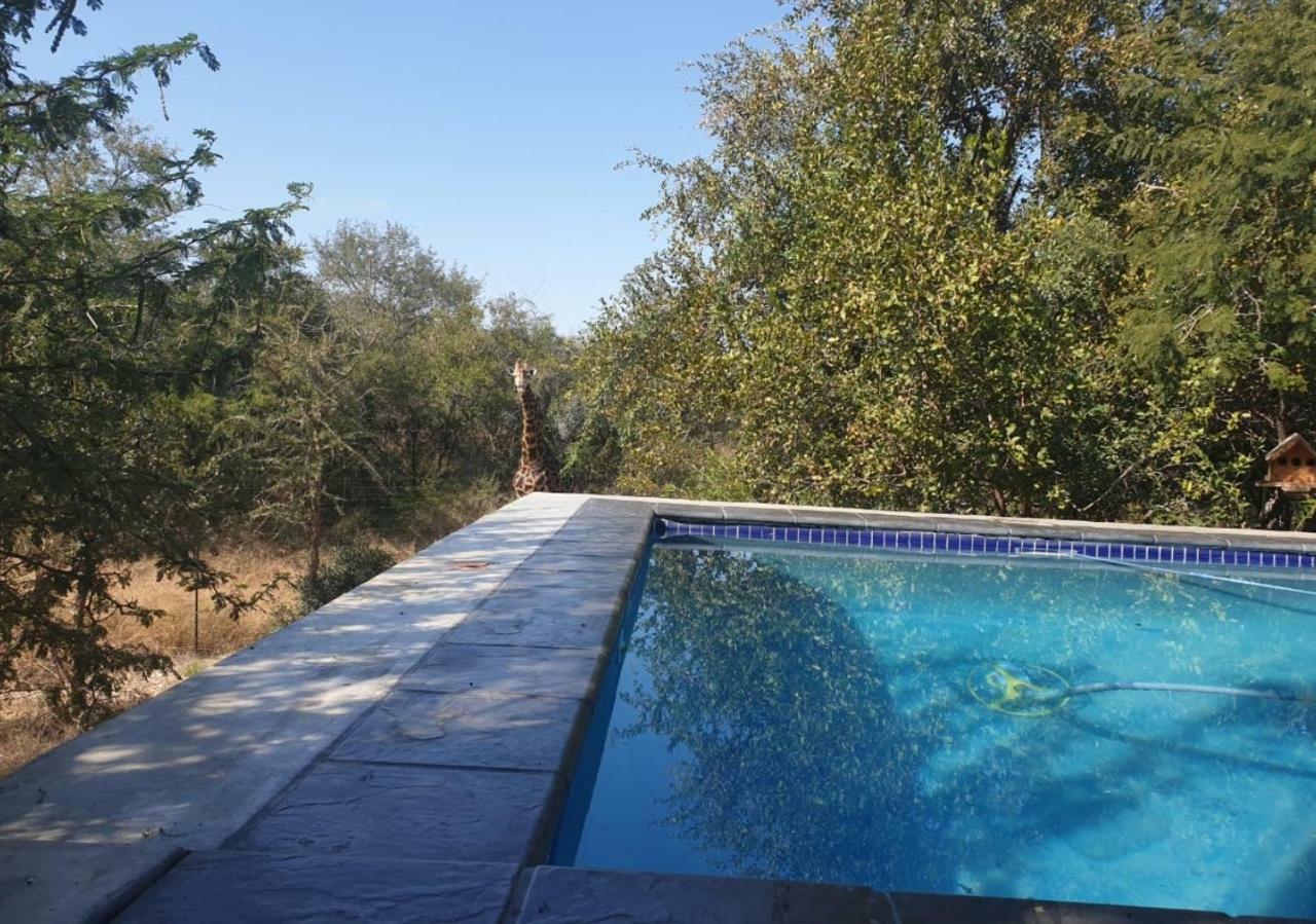 Lionsview Private Lodge - 6 Lions Marloth Park Ngoại thất bức ảnh